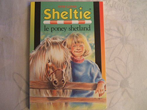 Sheltie, le poney Shetland
